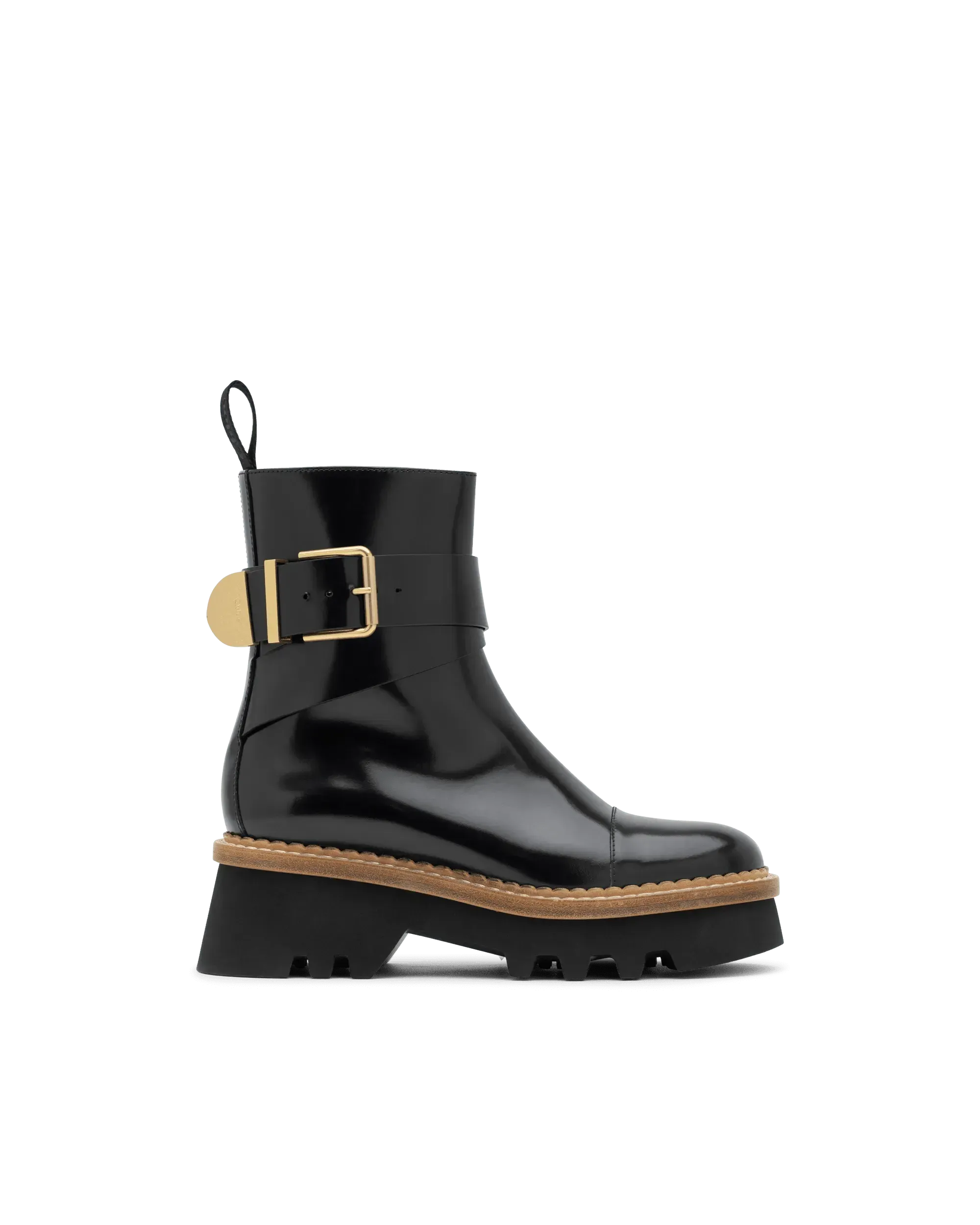 Owena Shiny Leather Ankle Boots