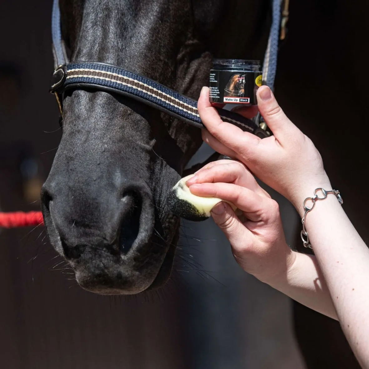 Smart Grooming Make Up for Horses